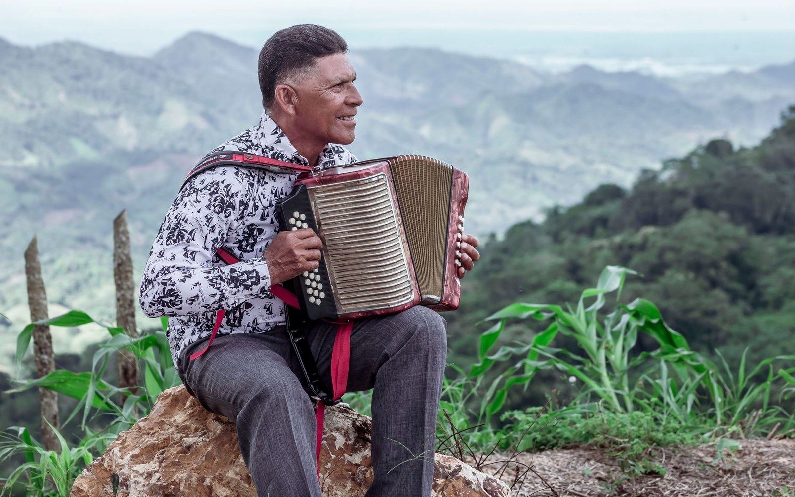 Accordion and bajo sexto resting on an open flight case on a concrete floor